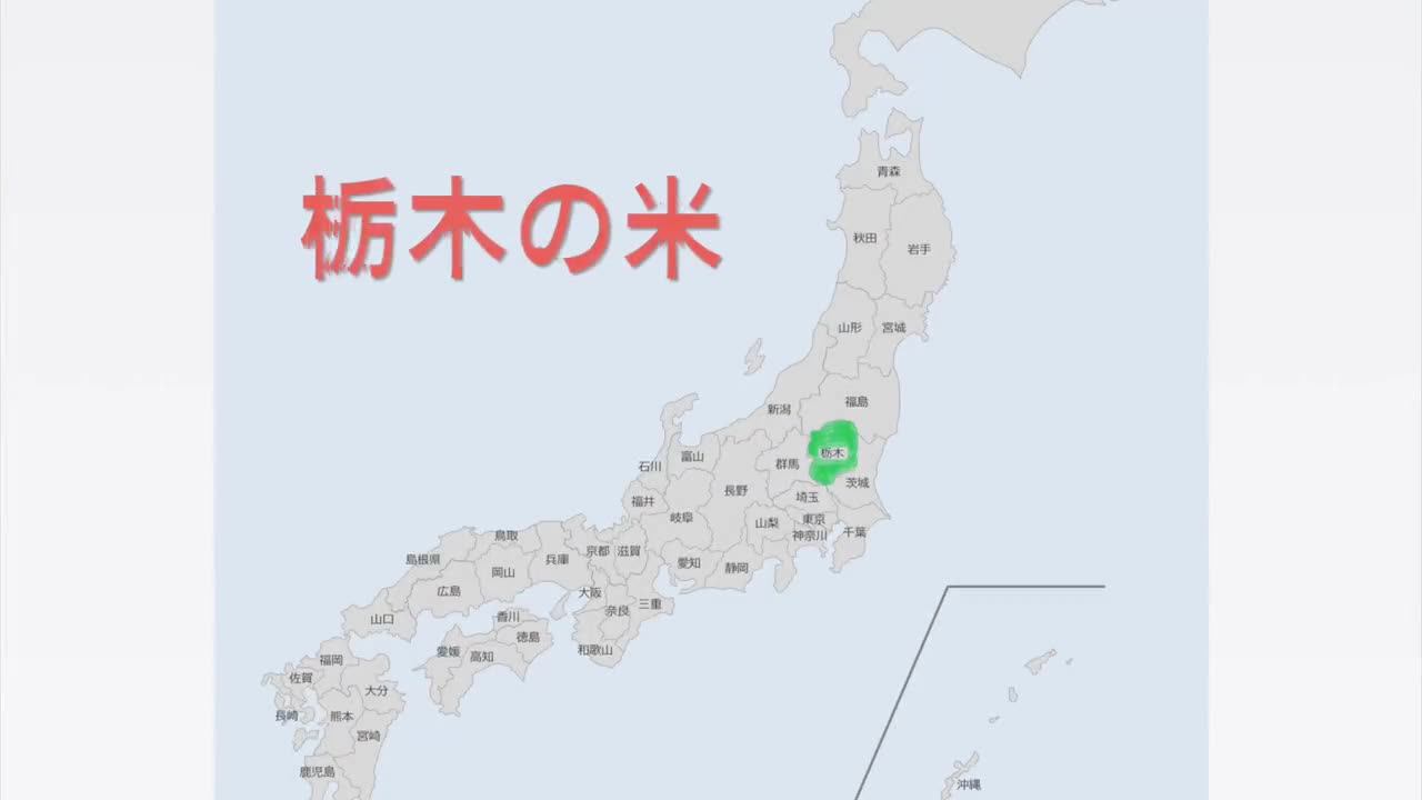 とちぎのおいしいお米　 ～ 栃木県オリジナル品種「とちぎの星」「なすひかり」をご紹介します