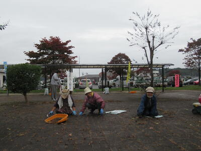 インターロッキングの草むしり