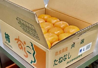 奈良県産の たねなし柿でした！