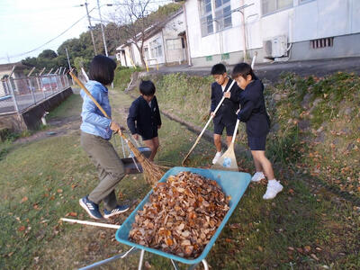 ボランティア活動