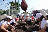 芋掘り