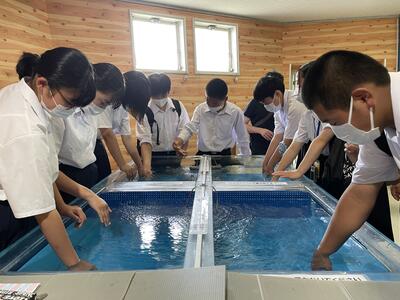 ３年のページ 芳賀町立芳賀中学校