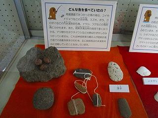 石器の展示の写真