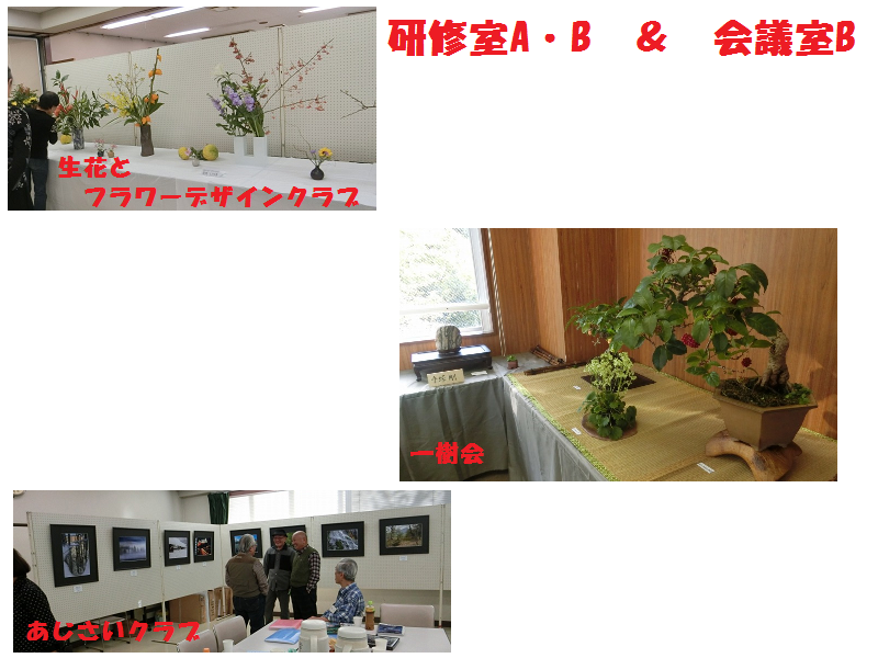 盆栽、生け花、写真の展示