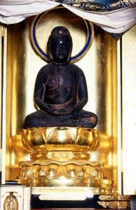 延命院木造阿弥陀如来坐像