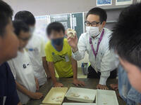 縄文時代の貝について説明を受ける生徒たち