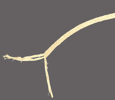 写真：経木真田（三平）