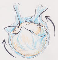 おにぎりの作り方