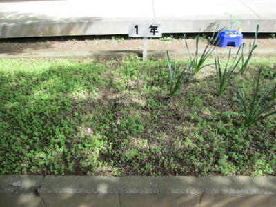 たかやすまえのしゃしん