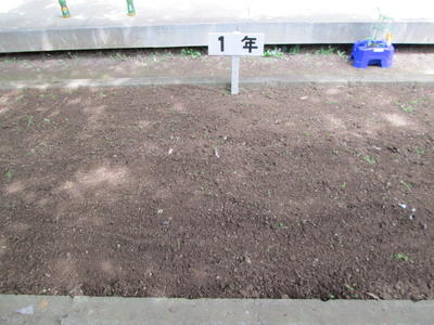 たがやしたあとのしゃしん