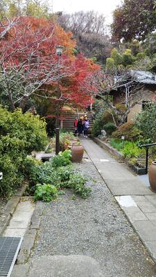 風が寒いです。