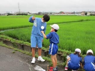 中野小学校２年生の児童のみなさん、ようこそ飯沼中学校へ　楽しくザリガニ釣りができましたね　またいつでも来てくださいね！