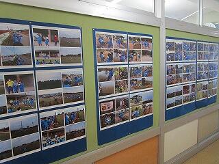 １年生廊下の掲示物　昨日の校外学習の写真が早くも掲示されています