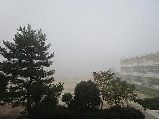 朝の霧はすごかったですね