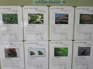 飯沼中生物マップ資料