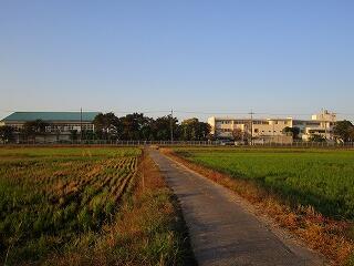 朝の学校周辺の風景