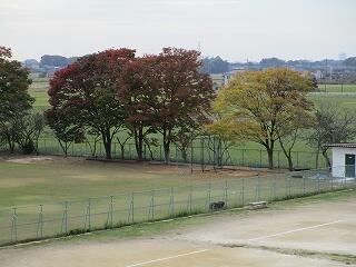 飯沼中の秋の風景
