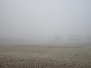 今日は朝から濃い霧に覆われました