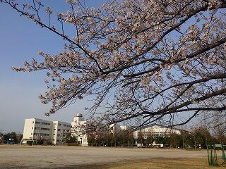 春の朝