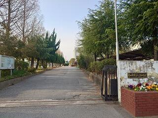 春の朝