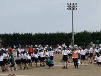 綱引き　緑対青