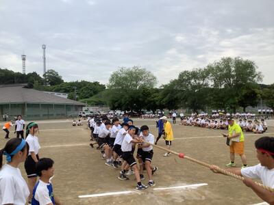 綱引き　青ブロック