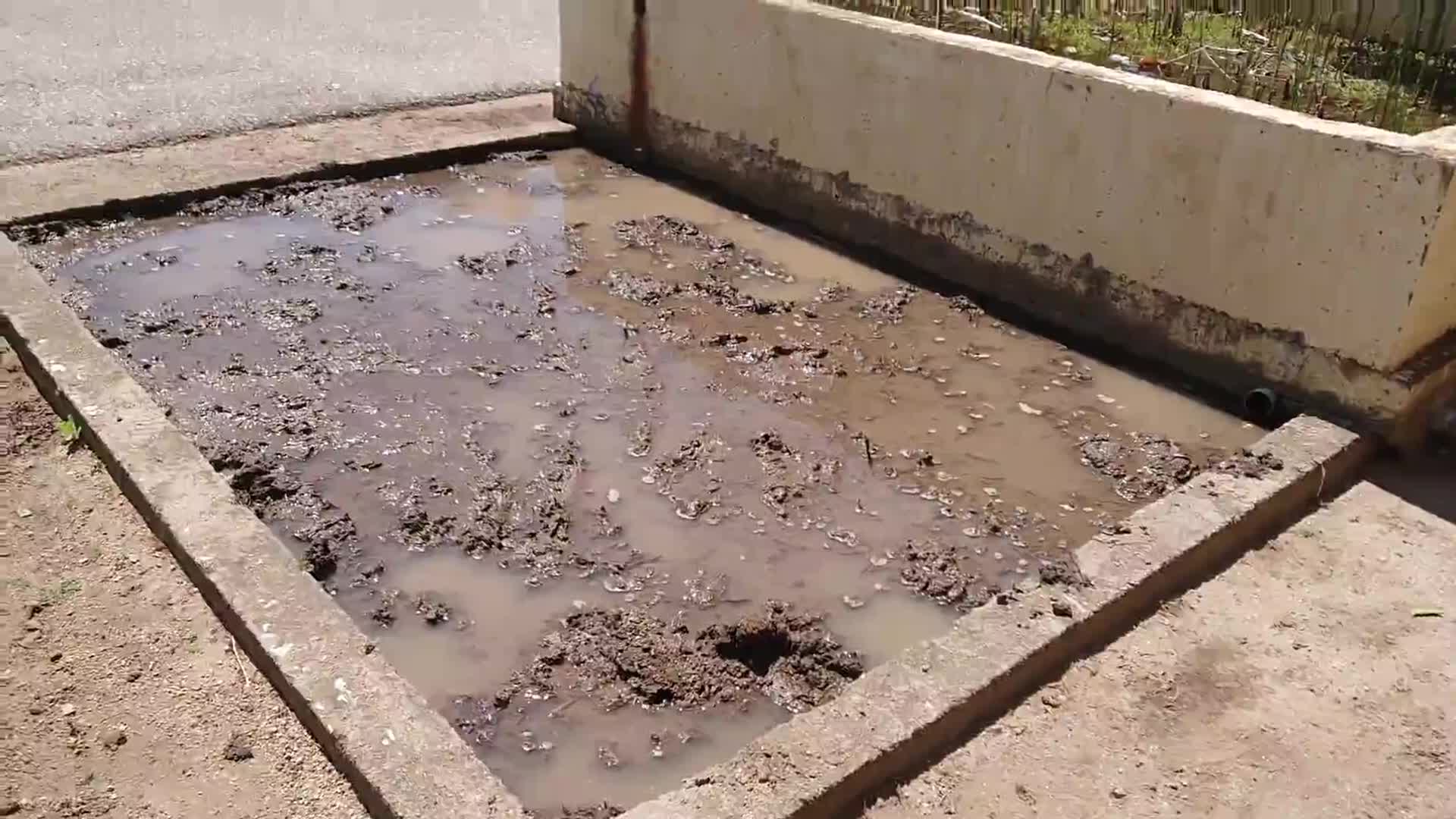 お米について勉強しましょう(５年生)