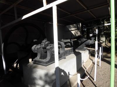 ３年生郷土博物館見学