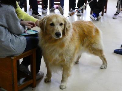 6年キャリア講演会