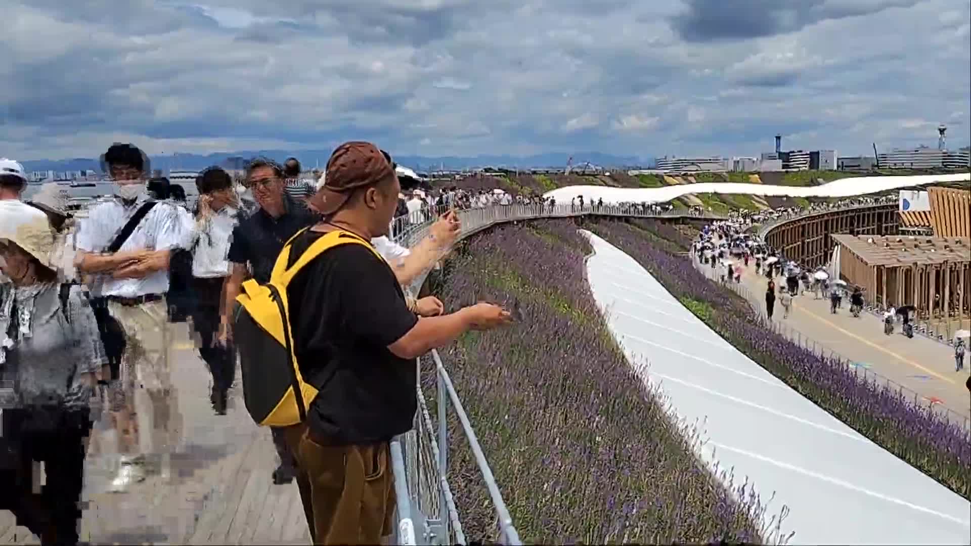 大阪・関西万博（大屋根リング）