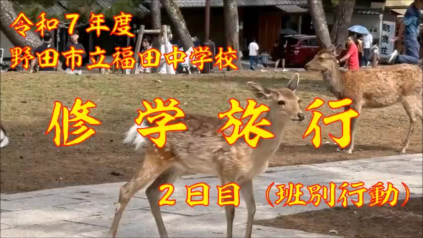 修学旅行（２日目）