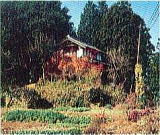 新田戸・中戸地区　水塚