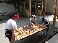 梅干し_返す様子その１