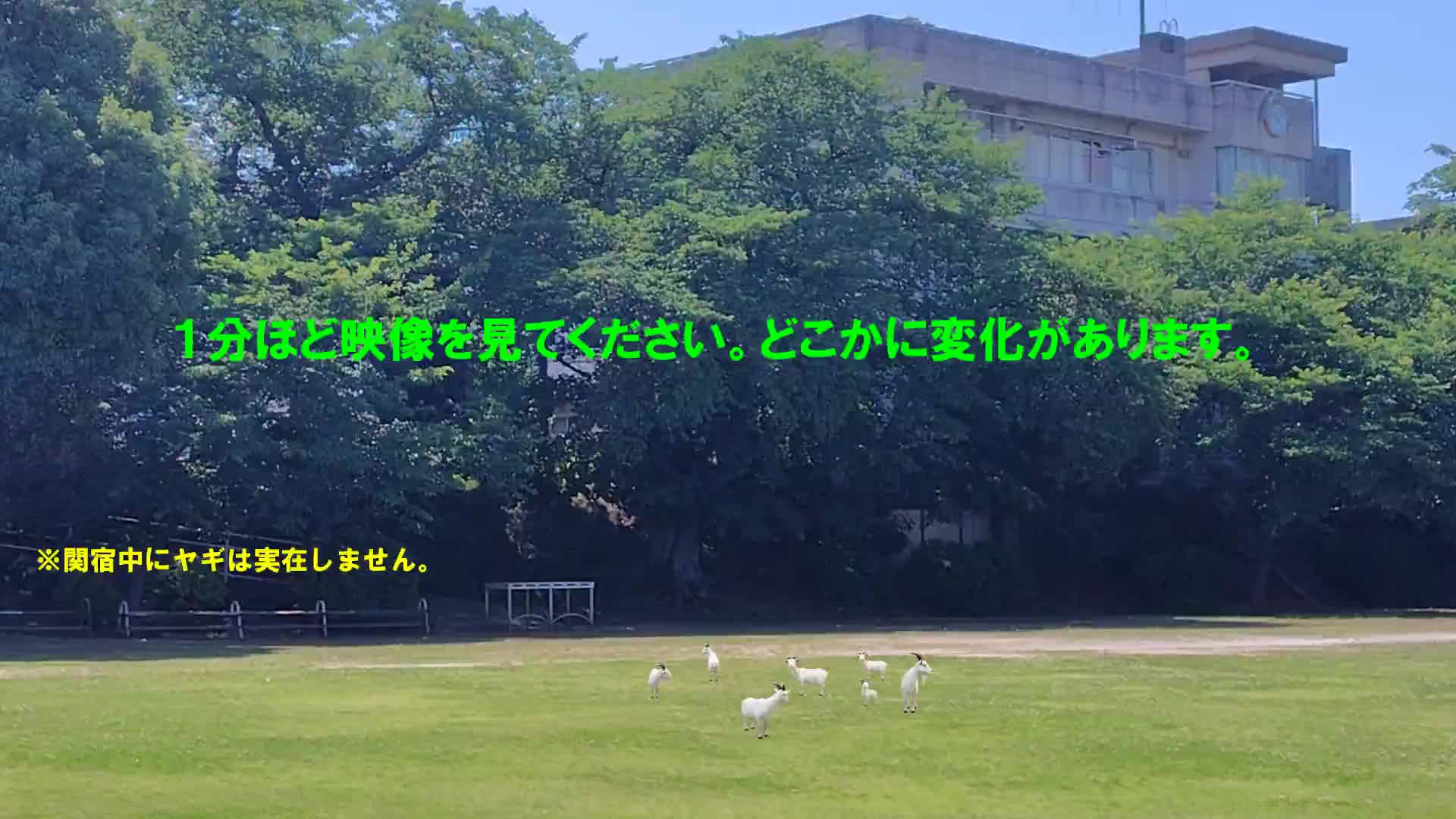 どこが変わったかな？