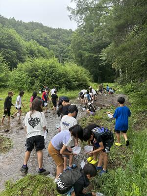 立場川で観察中