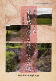 東国戦国期の石積・石垣の城