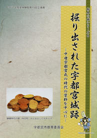 掘り出された宇都宮城跡