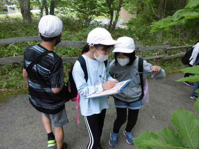 オリエンテーリング①